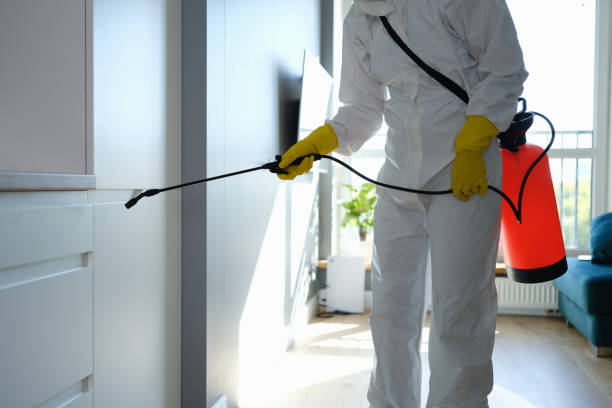 Best Mold Remediation for Specific Building Types in Neffs, OH